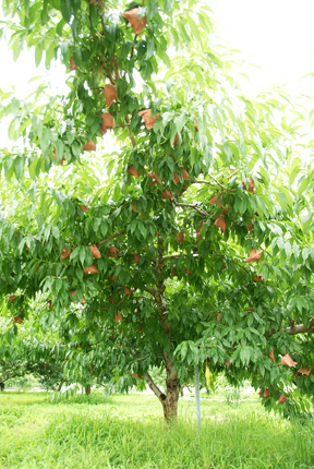 08070935.jpg