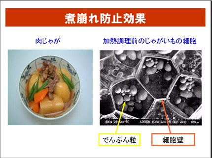 08072309.jpg