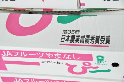 09062408.jpg