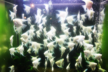 09073161.jpg