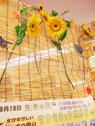 09081817.jpg