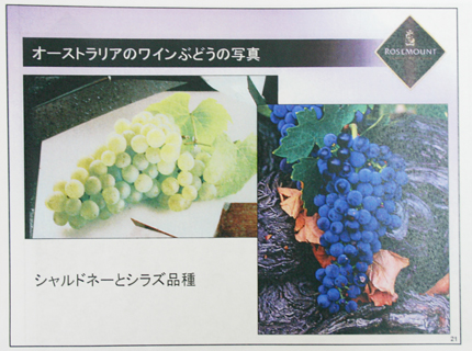 2008092517.jpg