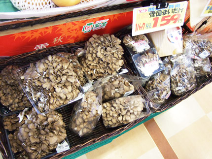 2008102128.jpg