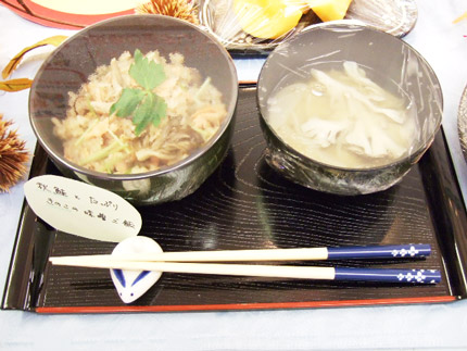 2008102131.jpg
