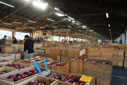 2008111219.jpg
