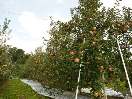 2014091704.jpg