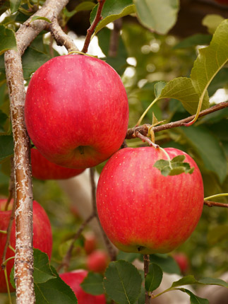 2014091709.jpg