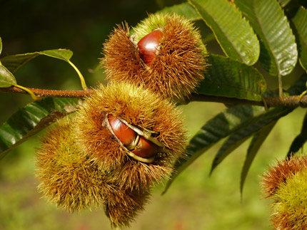 2014091715.jpg