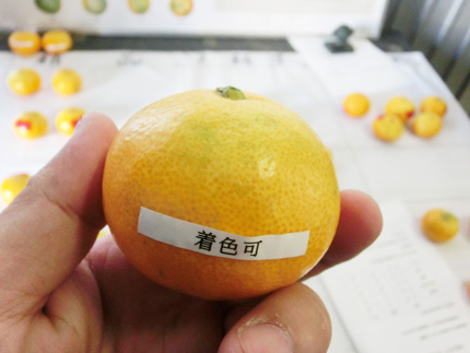 2014102804.jpg