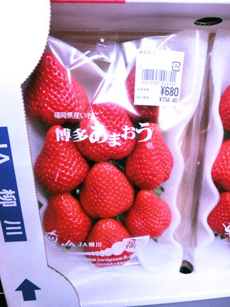 2015040108.jpg