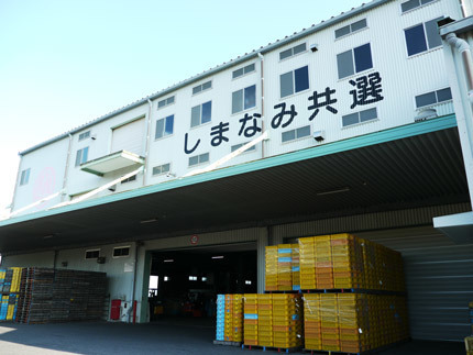 20151102814.jpg