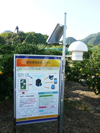 20151102820.jpg