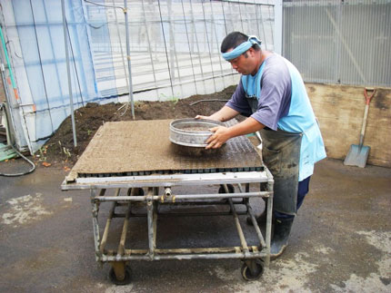 simofuri07.jpg